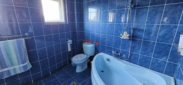 Spațiu comercial Alba Iulia - poza 12