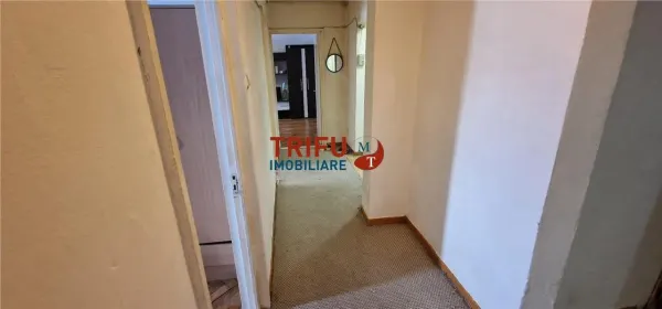 Apartament 3 camere Alba Iulia - poza 11
