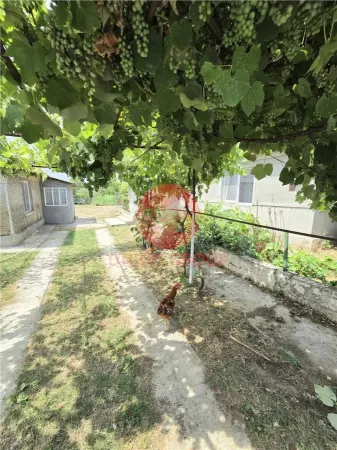 Casă 2 camere Vadu - poza 19