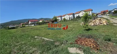 Teren de vanzare Alba Micesti, 1200 mp - foto 2