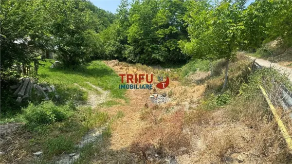 Teren Ighiu - poza 2