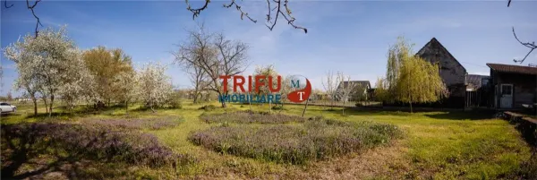 Teren Vințu de Jos - poza 2