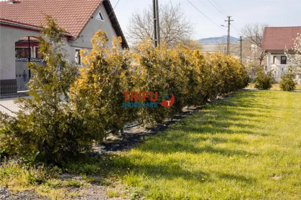 Teren Vințu de Jos - poza 4