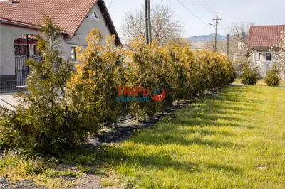 Randament Rapid: Teren 11.771 mp cu PUZ aprobat pentru Cartier Rezidențial și Casă Bonus - foto 4