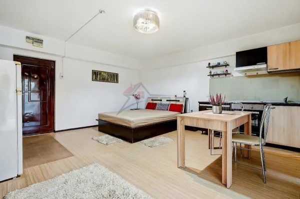 Apartament 1 camera Iași - poza 2