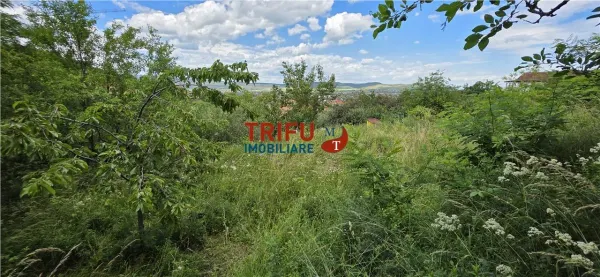 Teren Alba Iulia - poza 3