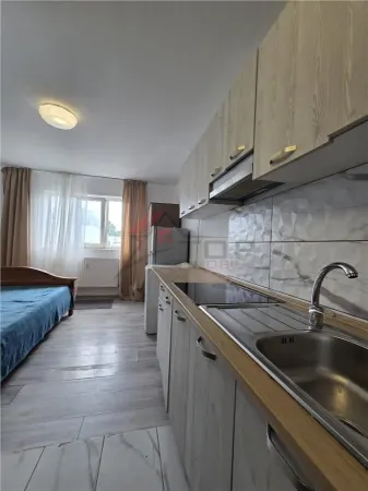 Apartament 1 camera Iași - poza 2