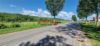 Teren de vanzare zona Teleac - foto 3