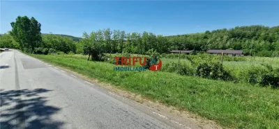 Teren de vanzare zona Teleac - foto 4