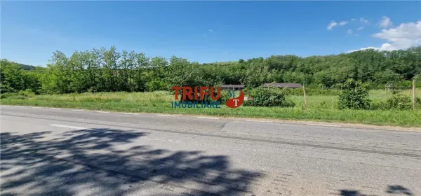 Teren Teleac - poza 5