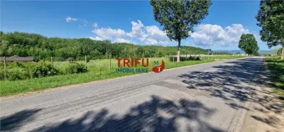 Teren de vanzare zona Teleac - foto 6