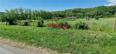 Teren de vanzare zona Teleac - foto 7