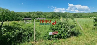 Teren de vanzare zona Teleac - foto 8