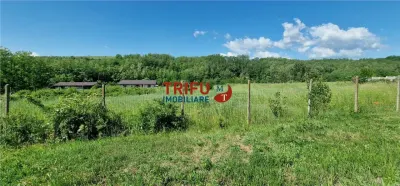 Teren de vanzare zona Teleac - foto 9