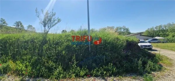 Teren Teleac - poza 5