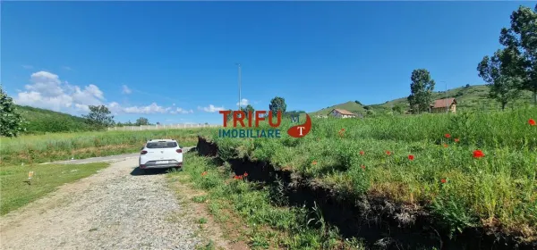 Teren Teleac - poza 6