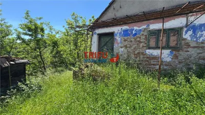 Casa de vanzare in Inuri comuna Vintu de Jos - Vintu de Jos