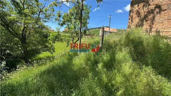 Casă 2 camere Vințu de Jos - poza 4