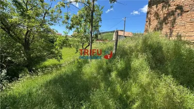 Casă 2 camere Vințu de Jos - poza 4