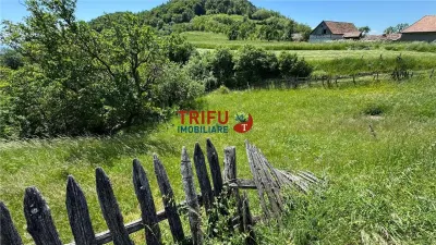 Casă 2 camere Vințu de Jos - poza 9