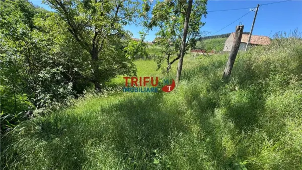 Casă 2 camere Vințu de Jos - poza 10