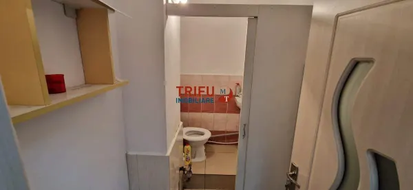 Spațiu comercial Alba Iulia - poza 4