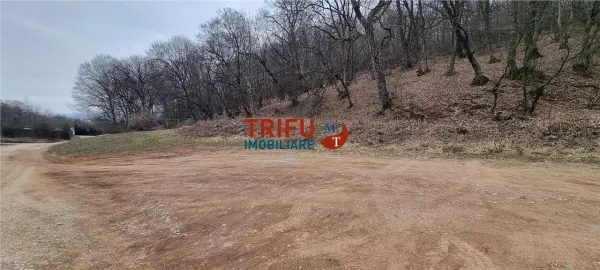 Teren Alba Iulia - poza 3