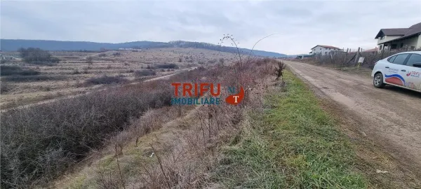Teren Alba Iulia - poza 3