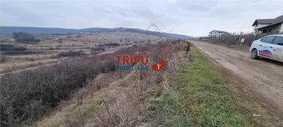 Teren Alba Iulia - poza 3