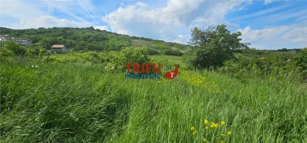 Teren Alba Iulia - poza 1