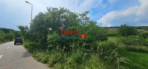 Teren Alba Iulia - poza 2