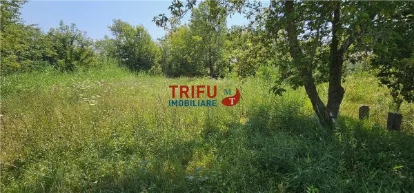 Teren Alba Iulia - poza 2