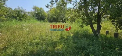 Teren de vanzare cu iesire la raul Mures 1200 mp - foto 2