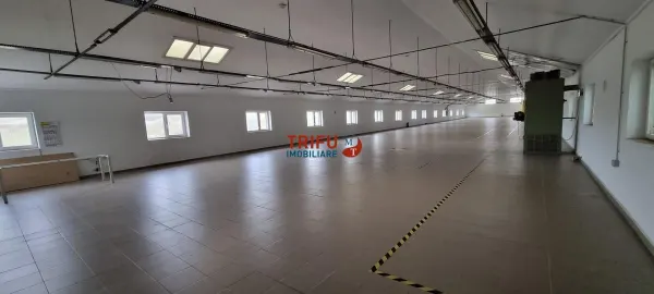 Spațiu industrial Sebeș - poza 1