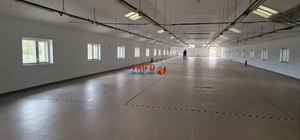 Spațiu industrial Sebeș - poza 4