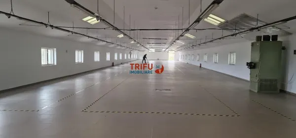 Spațiu industrial Sebeș - poza 5