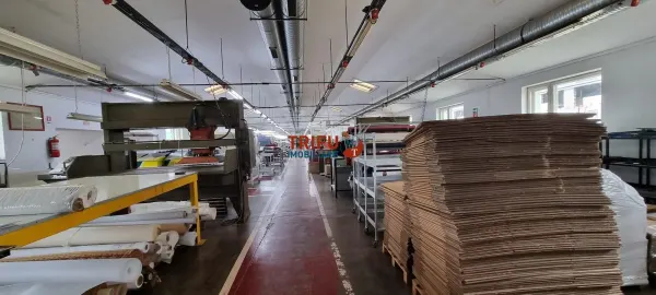 Spațiu industrial Sebeș - poza 2