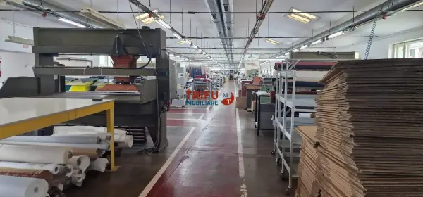 Spațiu industrial Sebeș - poza 4
