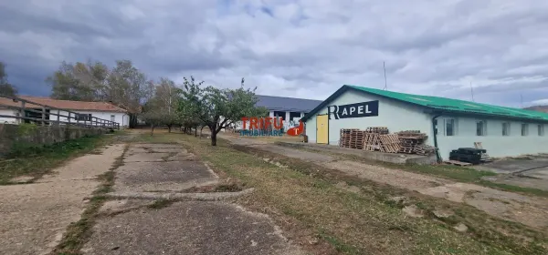 Spațiu industrial Sebeș - poza 5