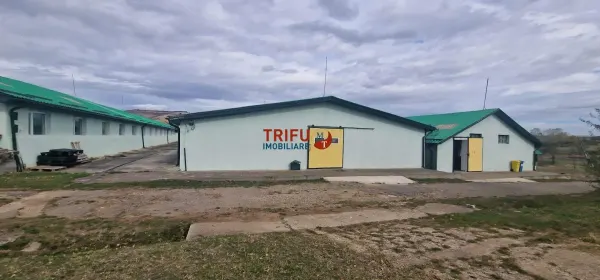 Spațiu industrial Sebeș - poza 6