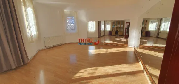 Casă 7 camere Alba Iulia - poza 2