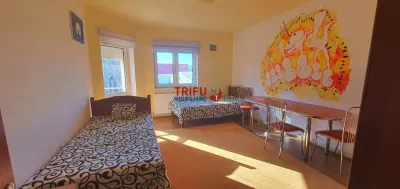 Casa individuala 7 camere in zona Pietei Cetate - foto 15