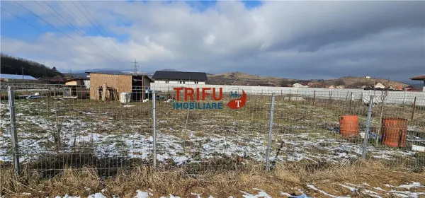 Teren Șard - poza 2