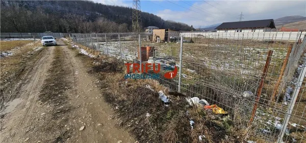 Teren Șard - poza 3