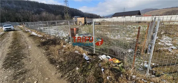 Teren Șard - poza 4