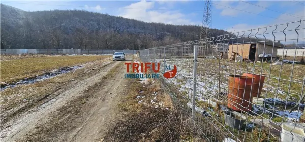 Teren Șard - poza 6