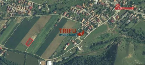 Teren Șard - poza 8