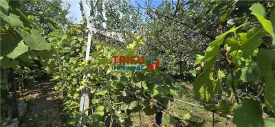 Casa cu 2 corpuri de cladire 744 mp teren in Micesti - foto 12