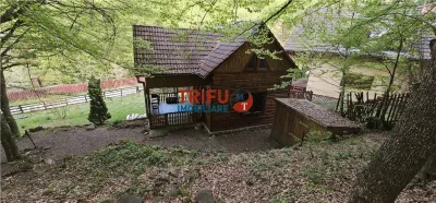 Casă de vacanță la pădure | Teren 891 mp | Valea Ighielului - foto 11