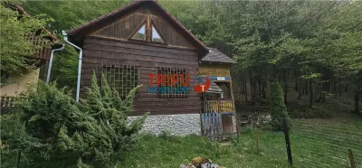 Casă de vacanță la pădure | Teren 891 mp | Valea Ighielului - foto 12